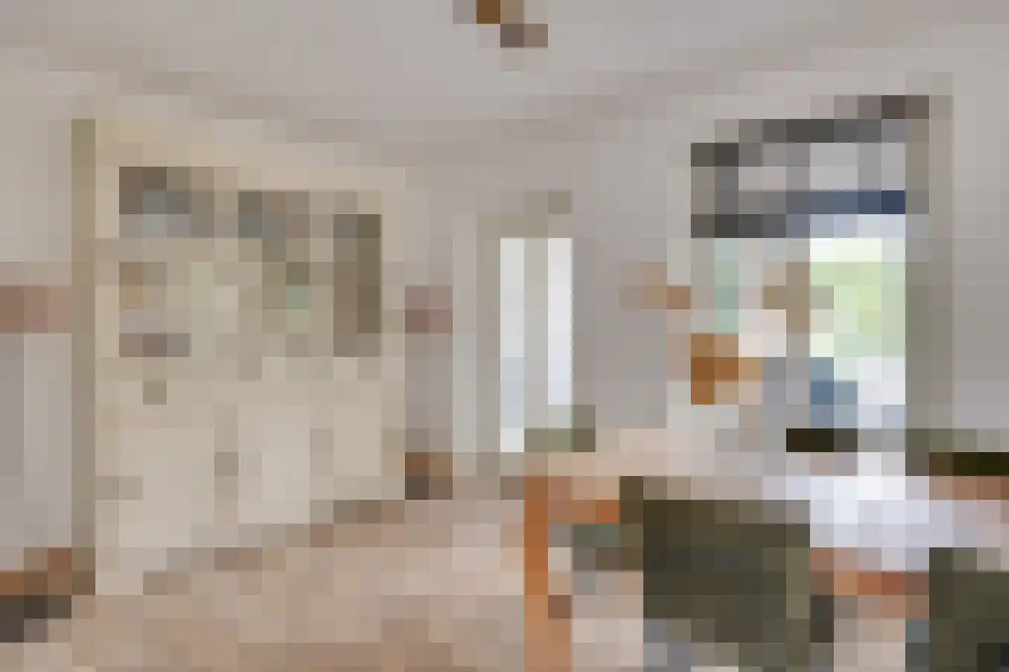 Dekanijstraat 5 Hilvarenbeek thumbnail 34