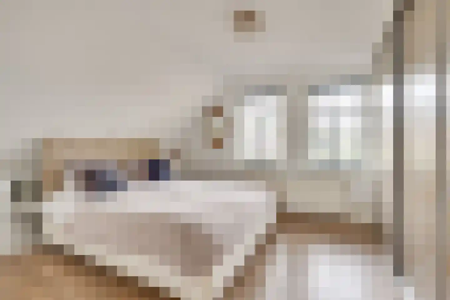 Dekanijstraat 5 Hilvarenbeek thumbnail 38