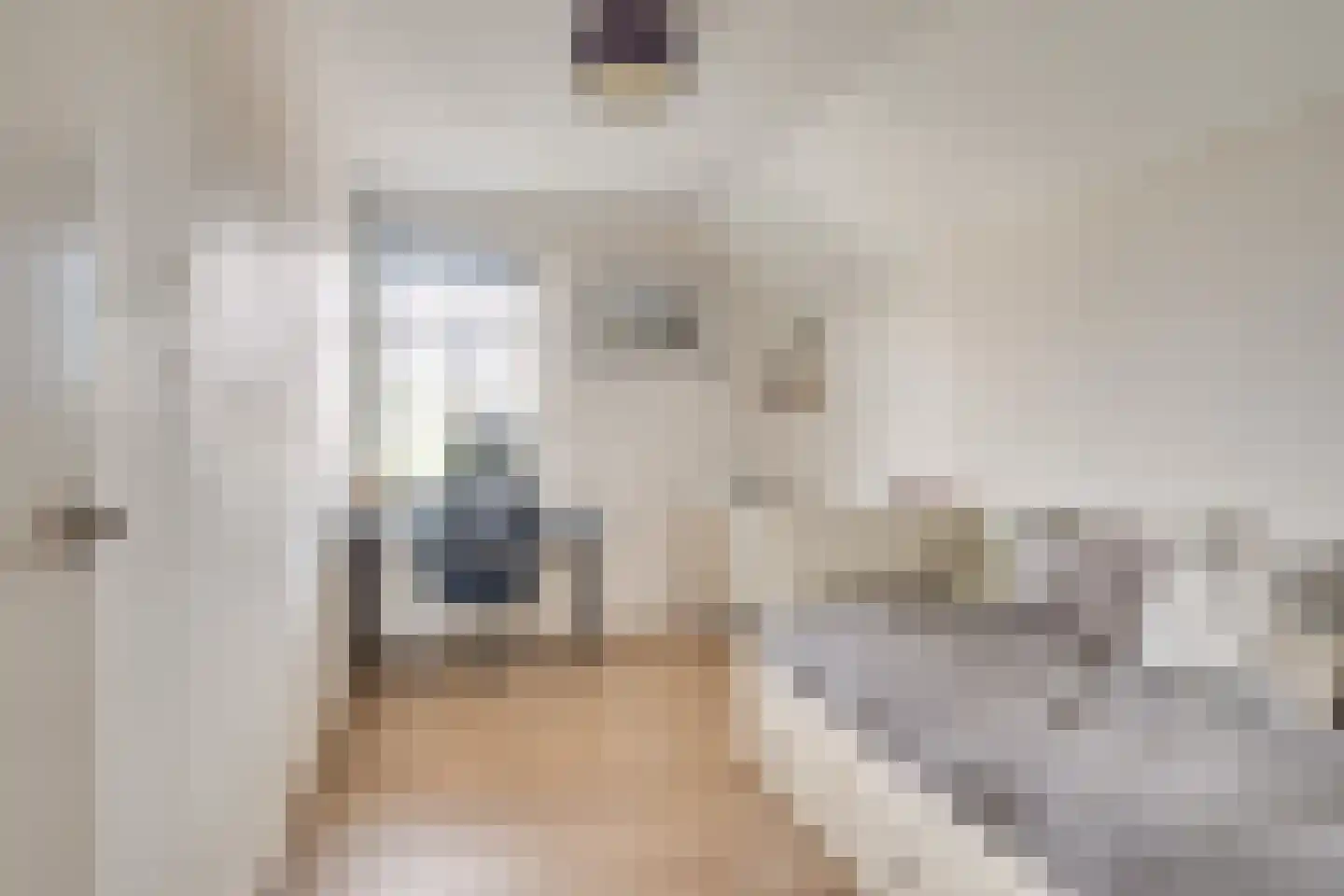 Dekanijstraat 5 Hilvarenbeek thumbnail 40