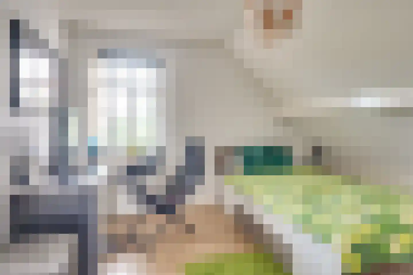 Dekanijstraat 5 Hilvarenbeek thumbnail 42