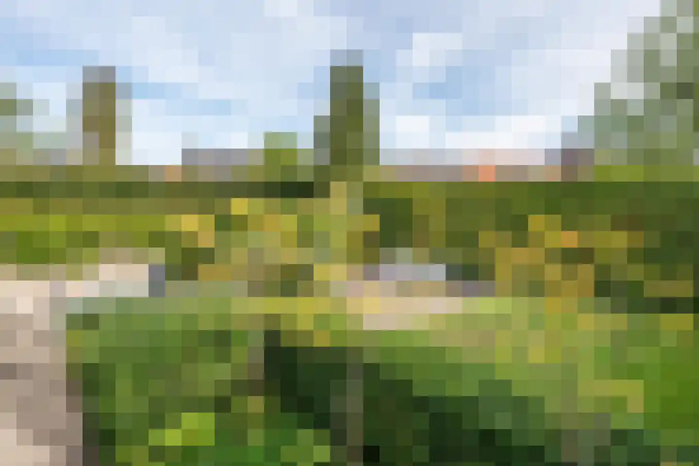 Dekanijstraat 5 Hilvarenbeek thumbnail 52