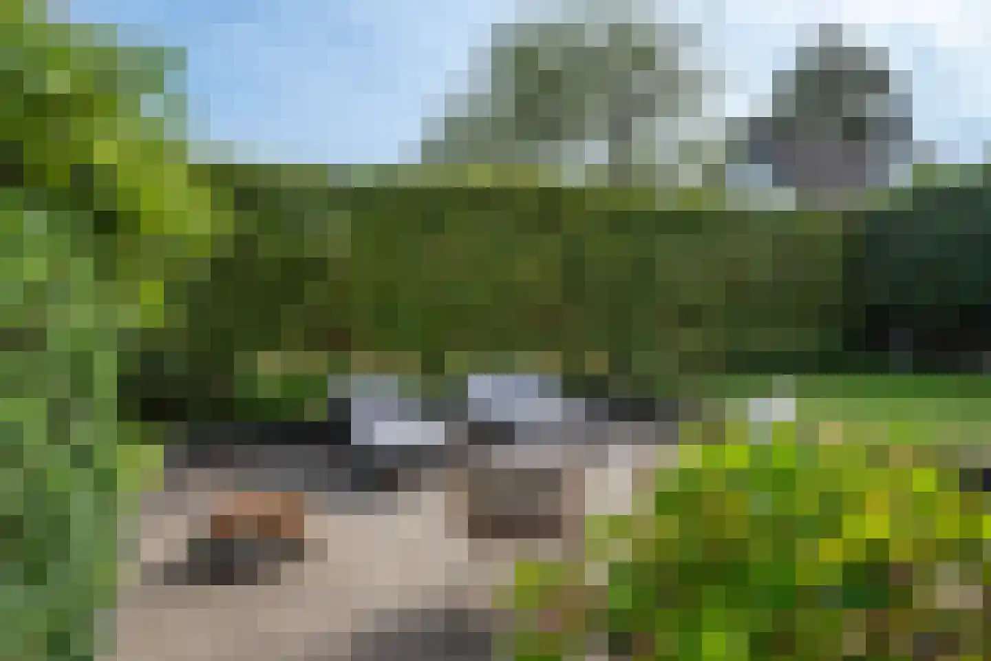 Dekanijstraat 5 Hilvarenbeek thumbnail 53