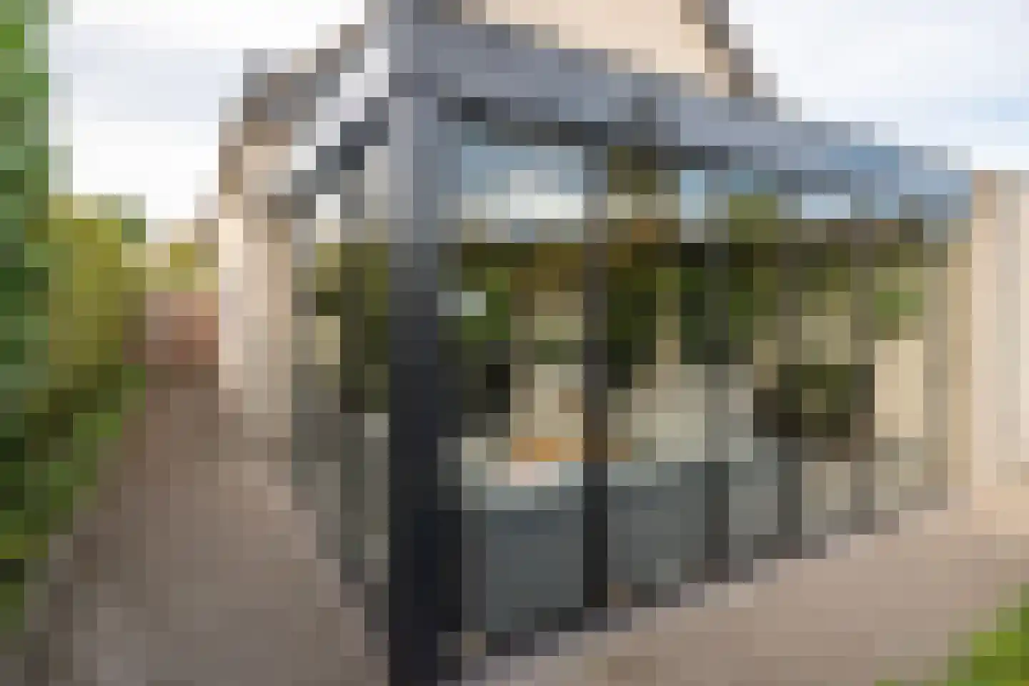 Dekanijstraat 5 Hilvarenbeek thumbnail 61