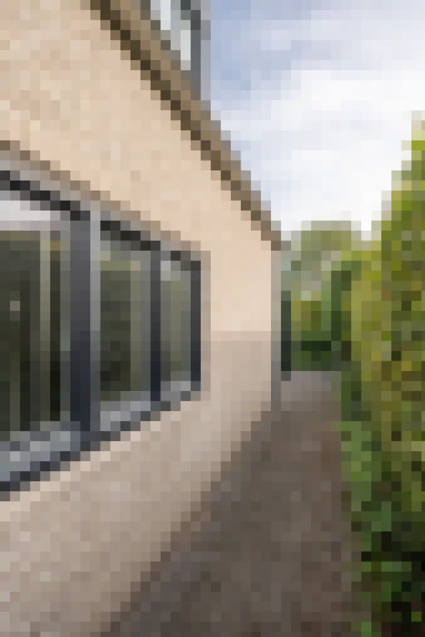Dekanijstraat 5 Hilvarenbeek thumbnail 63