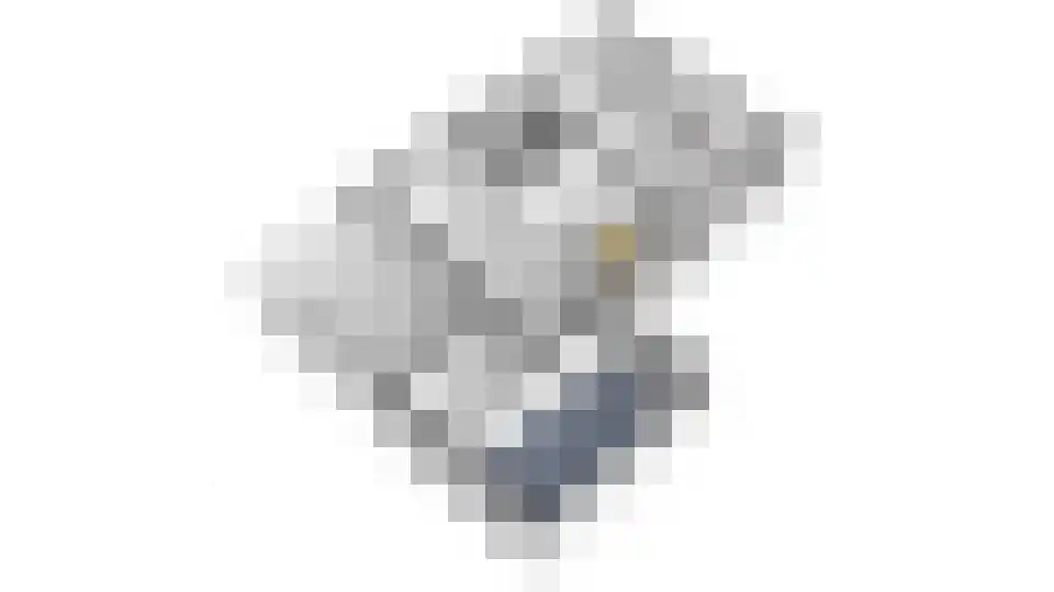 Dekanijstraat 5 Hilvarenbeek thumbnail 67