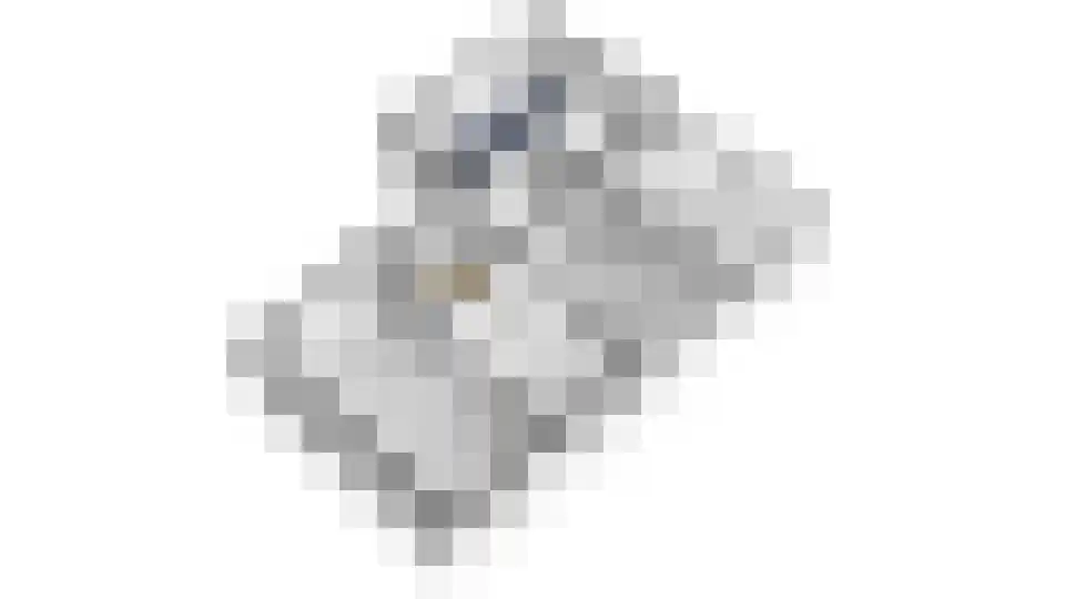 Dekanijstraat 5 Hilvarenbeek thumbnail 68