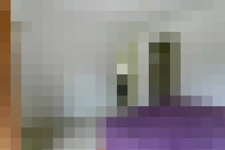 Dekanijstraat 7 A Hilvarenbeek thumbnail 13