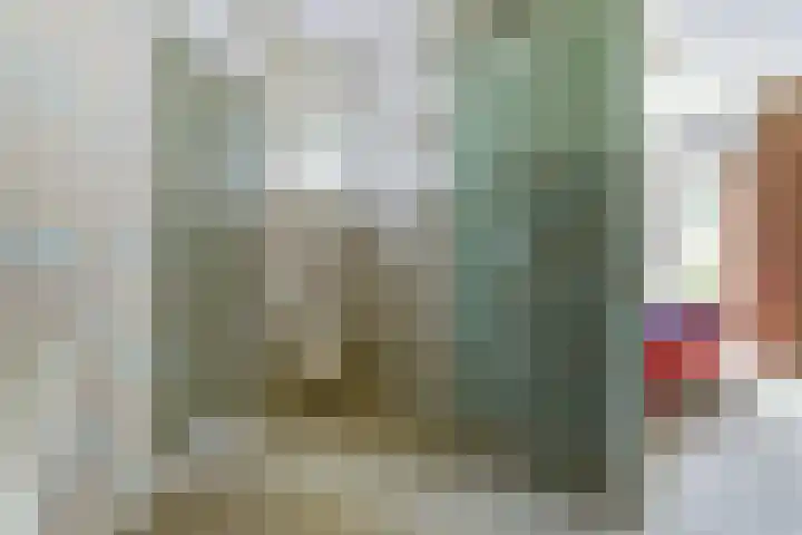 Dekanijstraat 7 A Hilvarenbeek thumbnail 14