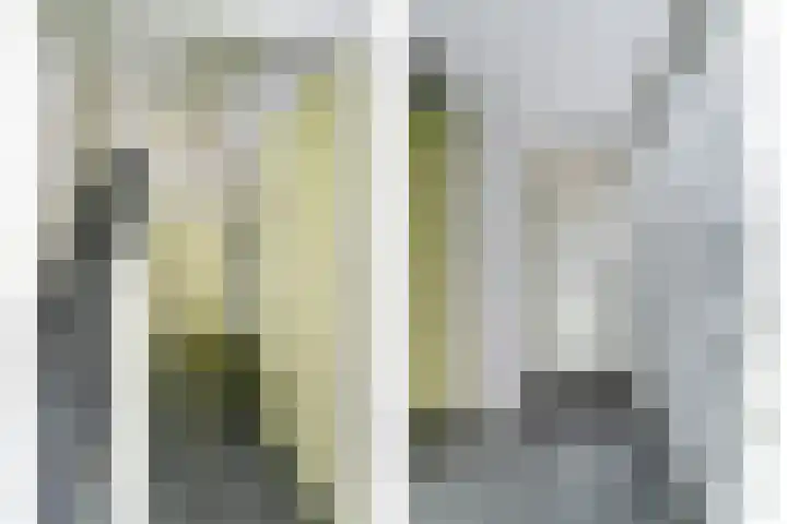 Dekanijstraat 7 A Hilvarenbeek thumbnail 19