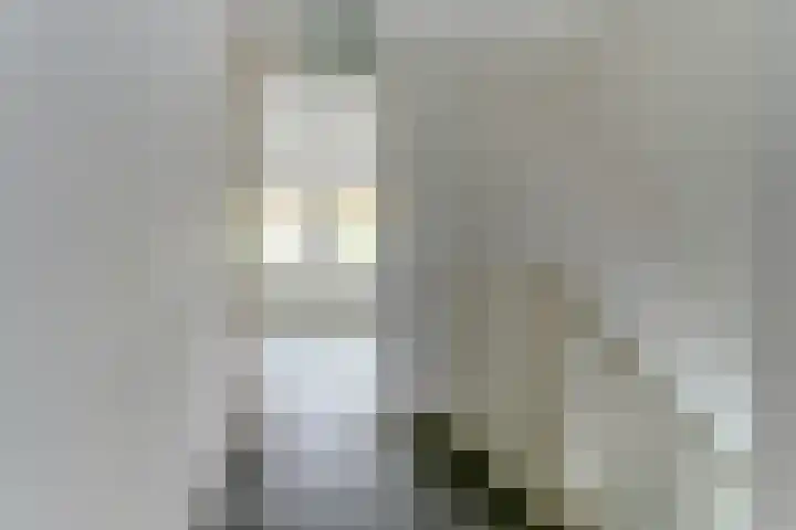 Dekanijstraat 7 A Hilvarenbeek thumbnail 20