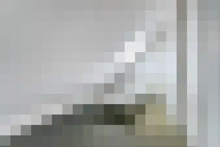 Dekanijstraat 7 A Hilvarenbeek thumbnail 23