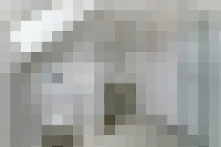 Dekanijstraat 7 A Hilvarenbeek thumbnail 28