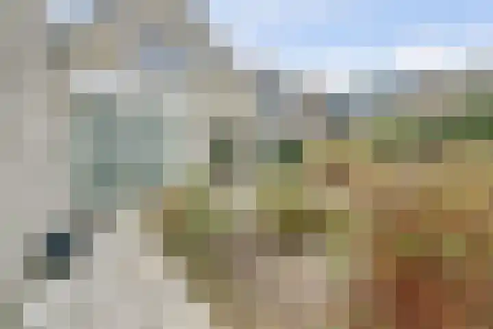 Dekanijstraat 7 A Hilvarenbeek thumbnail 29