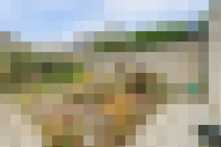 Dekanijstraat 7 A Hilvarenbeek thumbnail 30