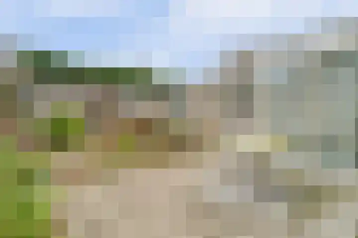 Dekanijstraat 7 A Hilvarenbeek thumbnail 31