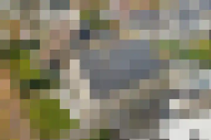 Dekanijstraat 7 A Hilvarenbeek thumbnail 33