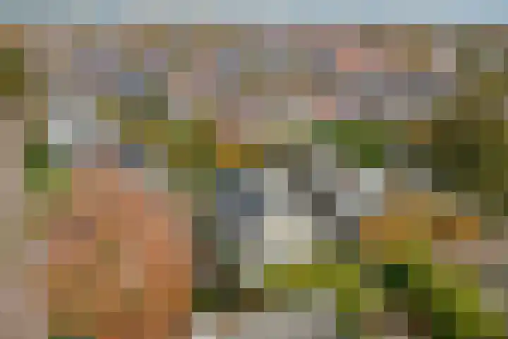 Dekanijstraat 7 A Hilvarenbeek thumbnail 34