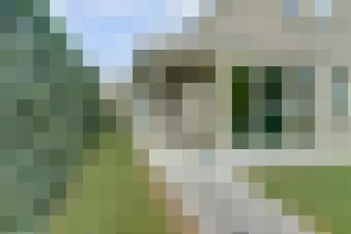 Dekanijstraat 7 A Hilvarenbeek thumbnail 4