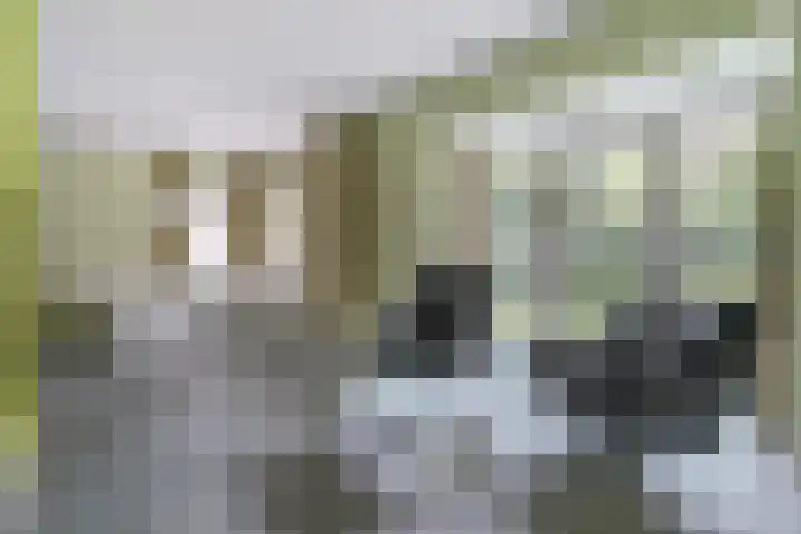 Dekanijstraat 7 A Hilvarenbeek thumbnail 5