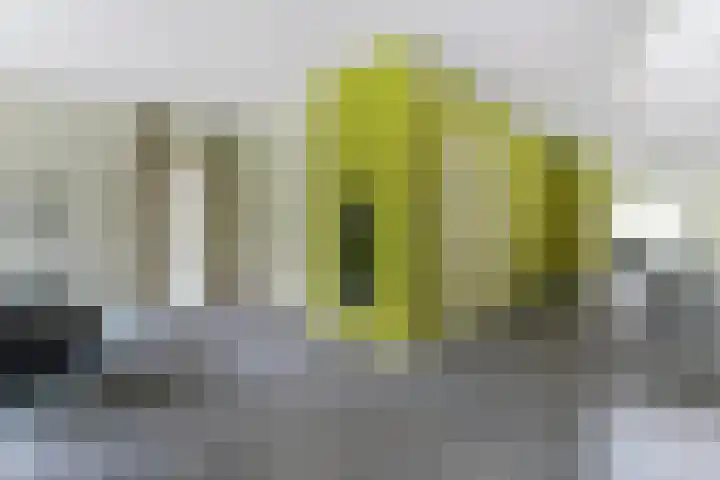 Dekanijstraat 7 A Hilvarenbeek thumbnail 6
