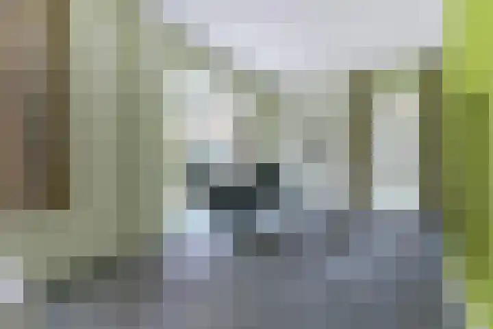 Dekanijstraat 7 A Hilvarenbeek thumbnail 7