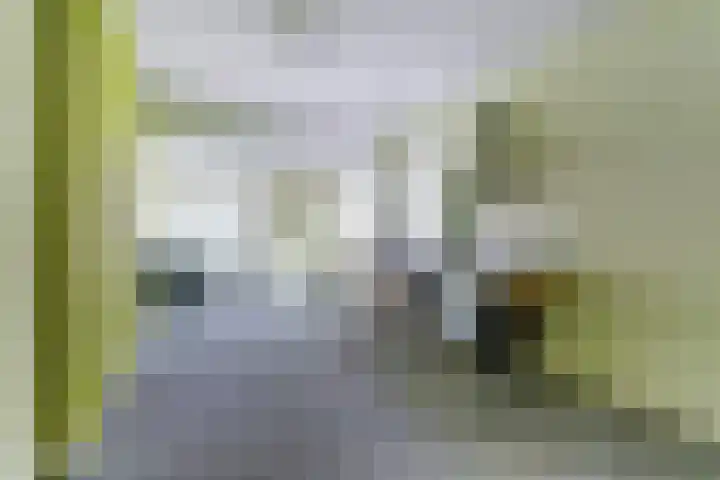 Dekanijstraat 7 A Hilvarenbeek thumbnail 8