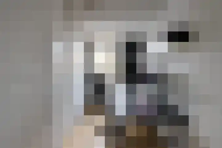 Dekemastate 11 Huizen thumbnail 10