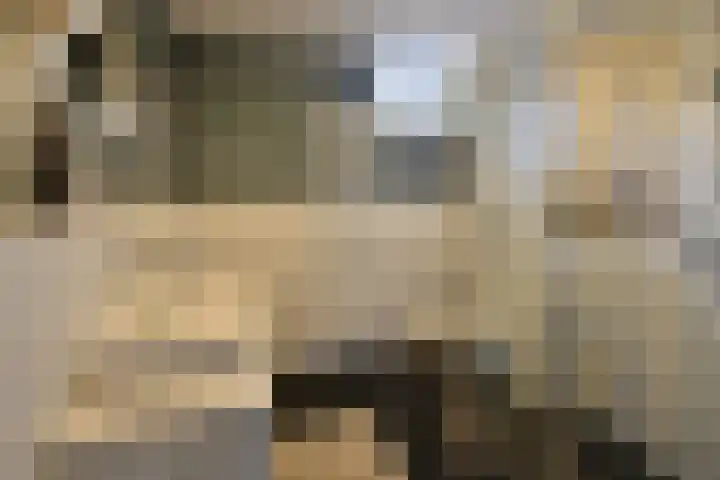 Dekemastate 11 Huizen thumbnail 11