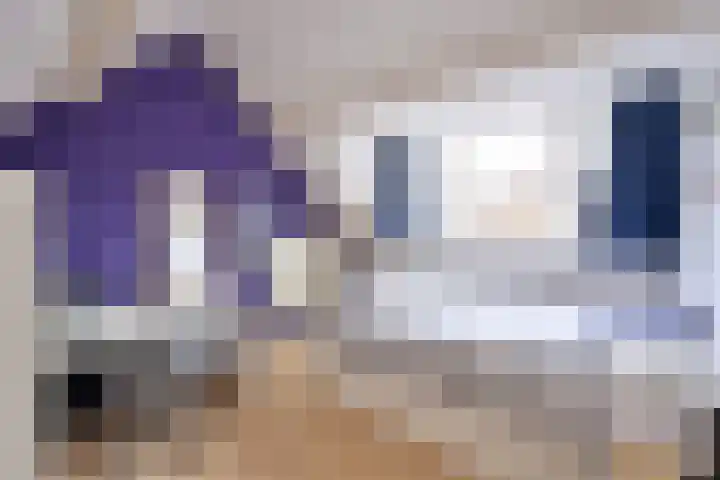 Dekemastate 11 Huizen thumbnail 12