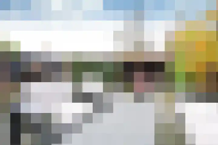 Dekemastate 11 Huizen thumbnail 14