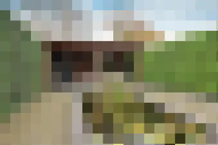Dekemastate 11 Huizen thumbnail 15