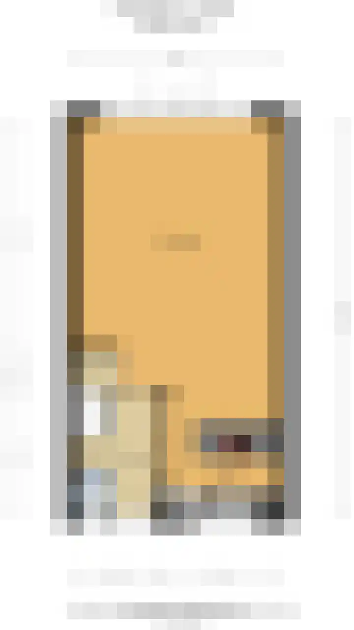 Dekemastate 11 Huizen thumbnail 17