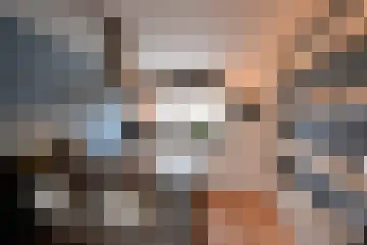 Dekemastate 11 Huizen thumbnail 6