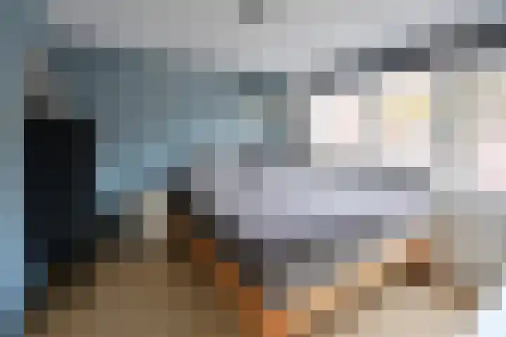 Dekemastate 11 Huizen thumbnail 8