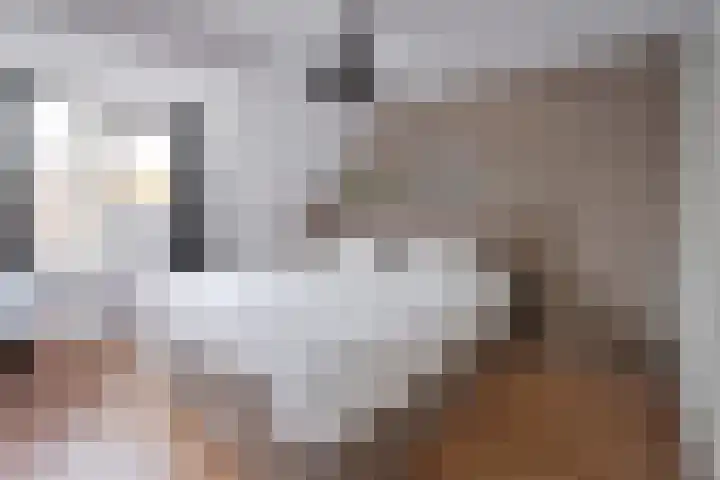 Dekemastate 11 Huizen thumbnail 9