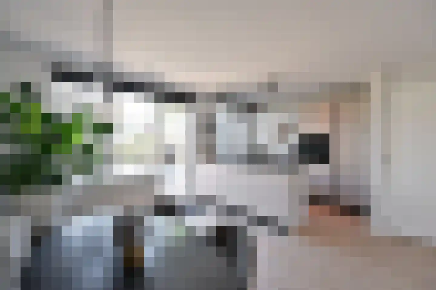 Dekemastate 12 Huizen thumbnail 10