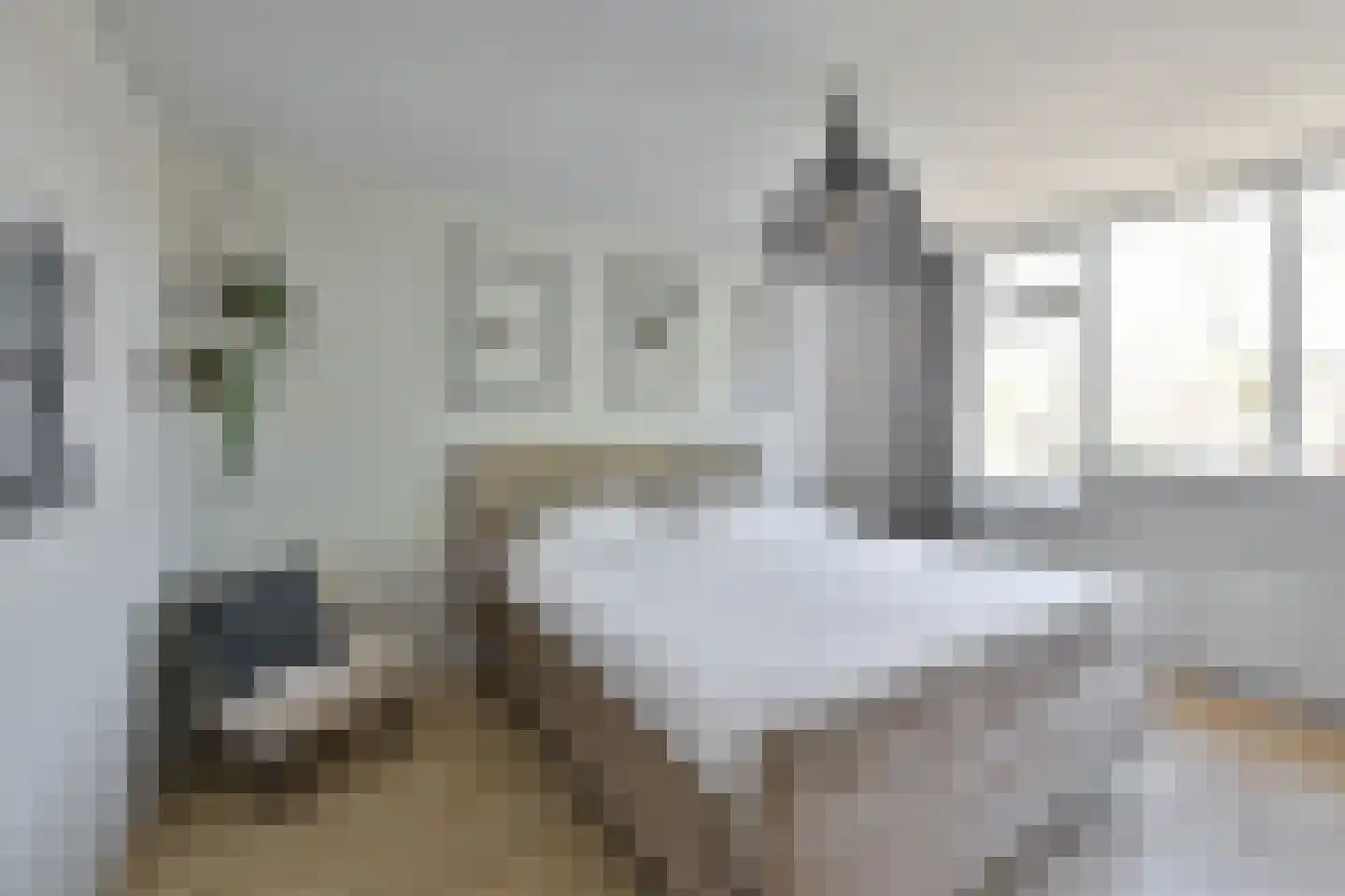 Dekemastate 12 Huizen thumbnail 14
