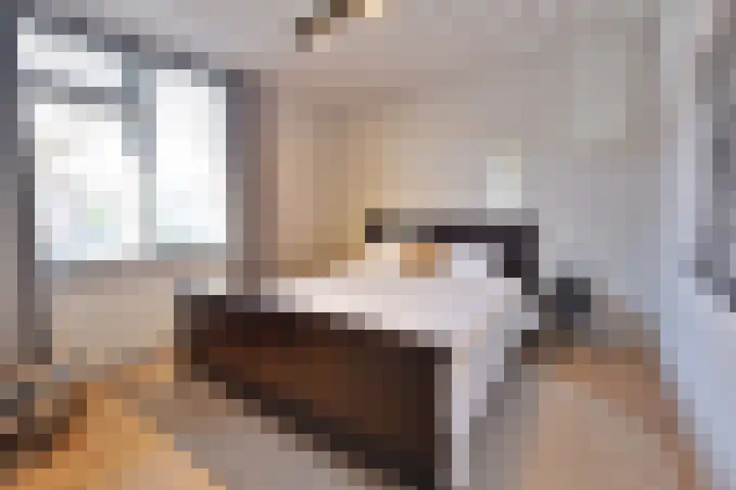Dekemastate 12 Huizen thumbnail 16
