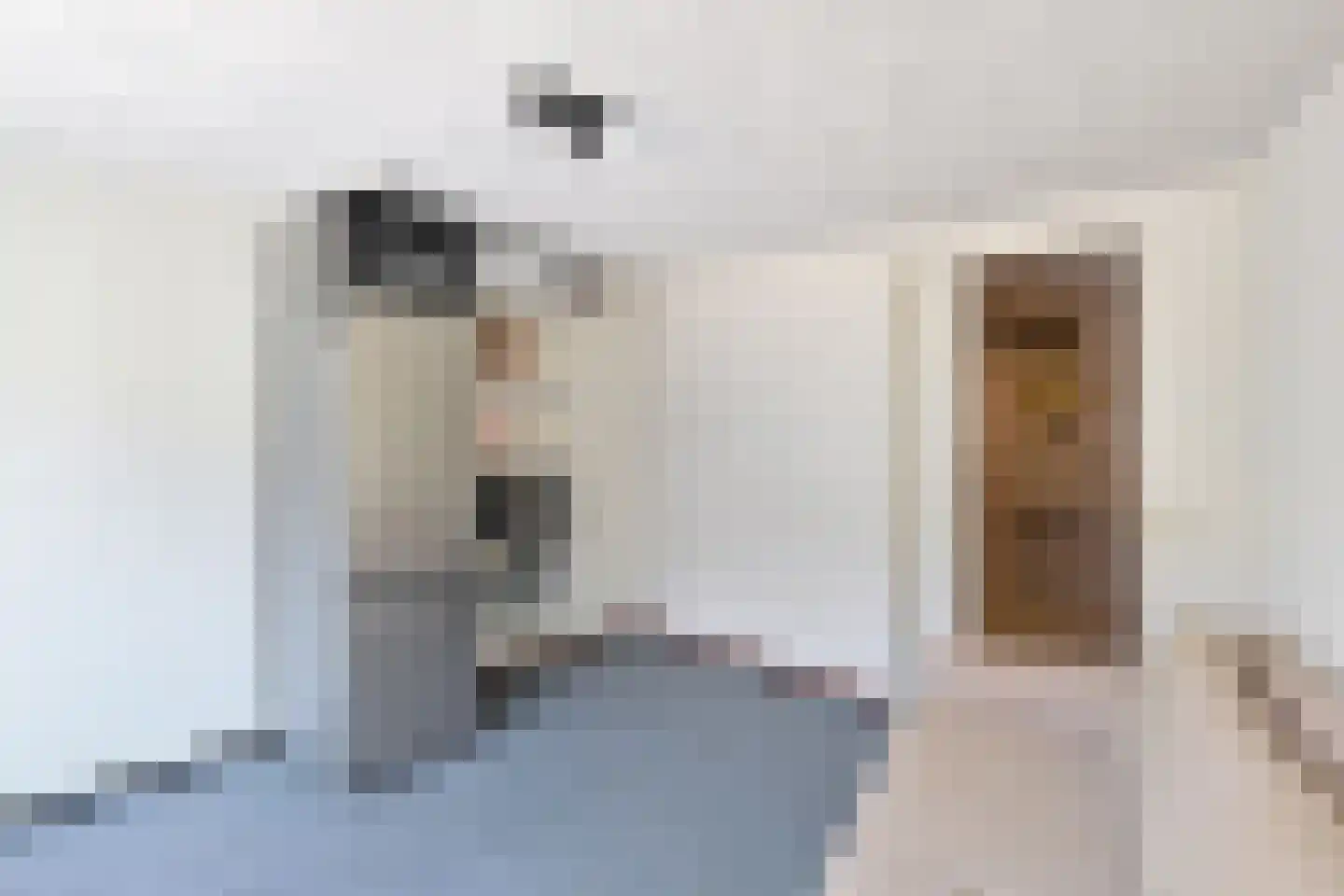 Dekemastate 12 Huizen thumbnail 21