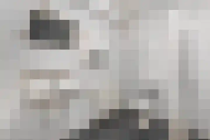 Dekemastraat 2 Tzum thumbnail 20