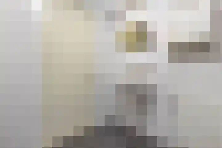 Dekemastraat 2 Tzum thumbnail 21