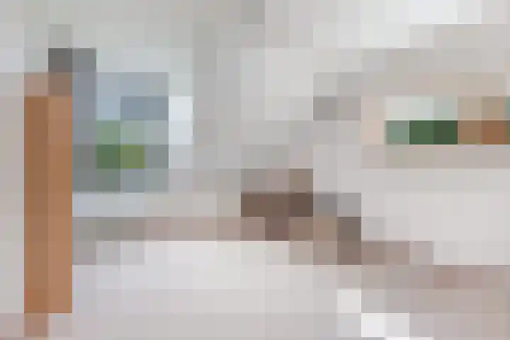 Dekemastraat 2 Tzum thumbnail 25