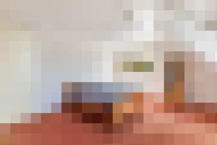 Dekemastraat 2 Tzum thumbnail 28