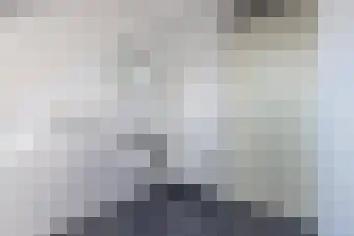 Dekemastraat 2 Tzum thumbnail 31