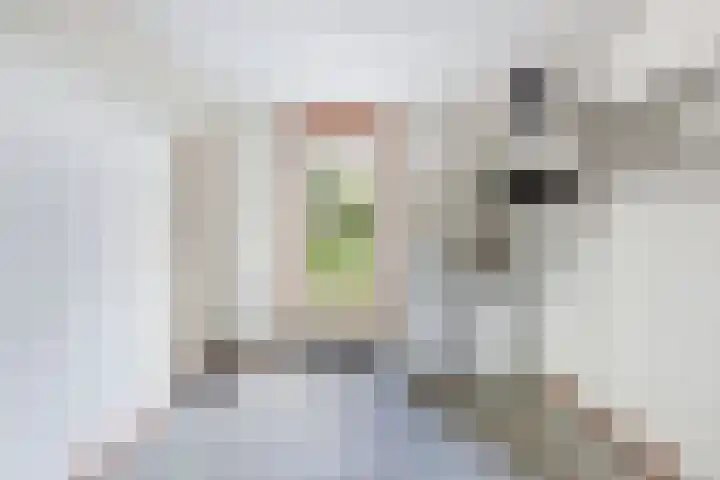 Dekemastraat 2 Tzum thumbnail 34