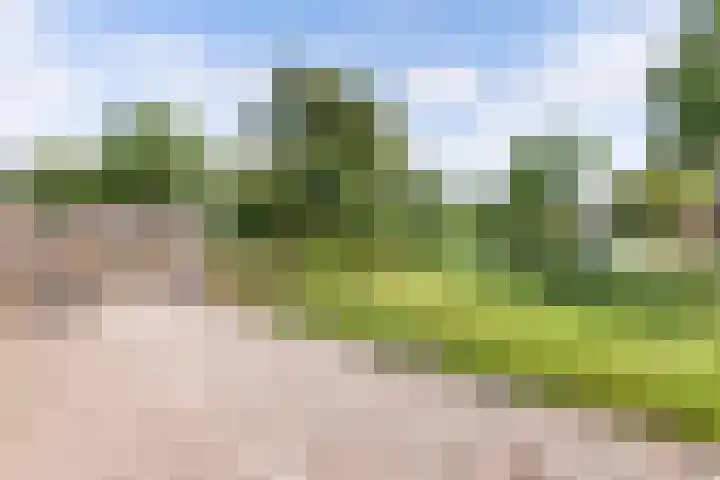 Dekemastraat 2 Tzum thumbnail 37