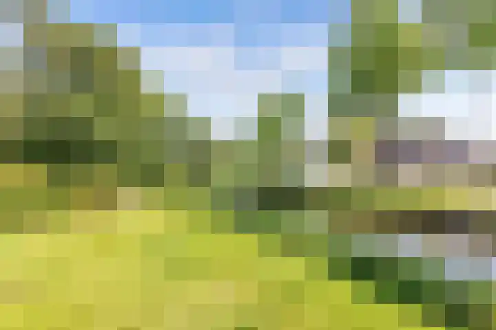Dekemastraat 2 Tzum thumbnail 38