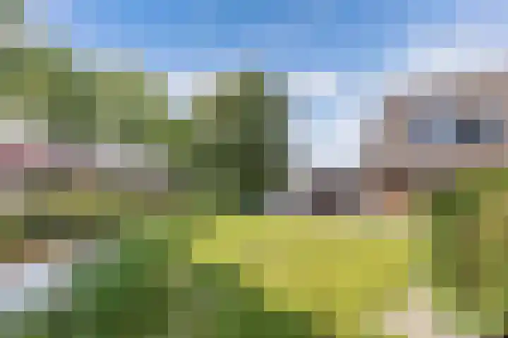 Dekemastraat 2 Tzum thumbnail 40