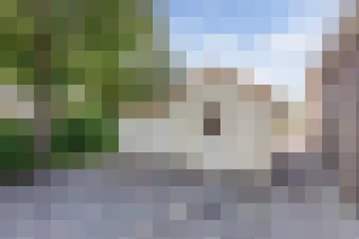 Dekemastraat 2 Tzum thumbnail 43