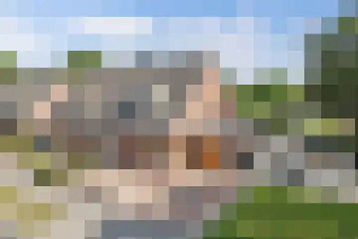 Dekemastraat 2 Tzum thumbnail 44